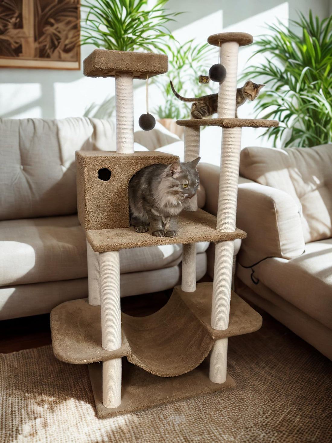Pets House & Care Cat Scratching Post with Sisal Rope, Hanging Ball & Carpeted Base –Tall Kitty Tree Activity Center for Adult Cats, Durable & Easy to Assemble