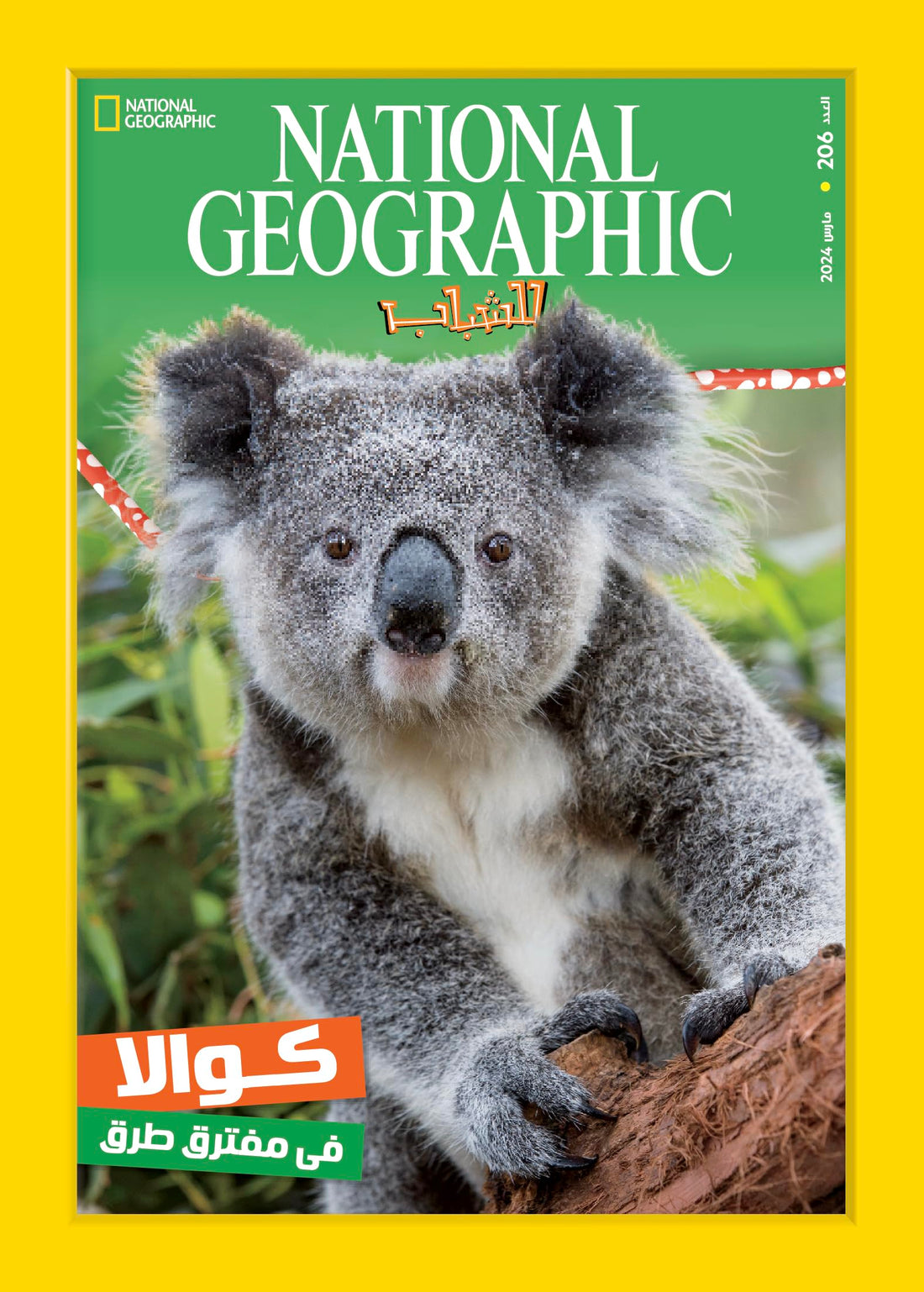 مجلة ناشيونال جيوجرافيك للشباب - National Geographic magazine العدد206