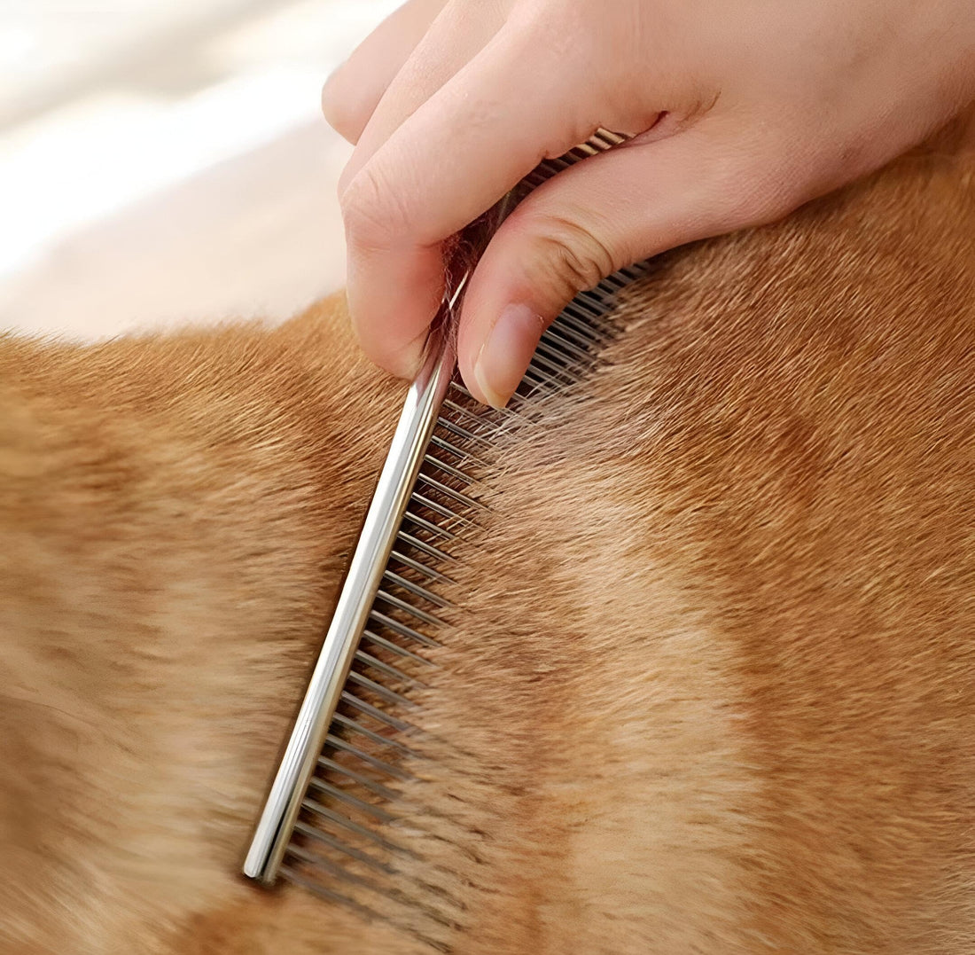 A solid steel comb - pet-dressing accessory, convenient for use for cats and dogs, reduces fallout and dirt, provides a soft, easy-to-wash, maintenance experience, an example for animal angel