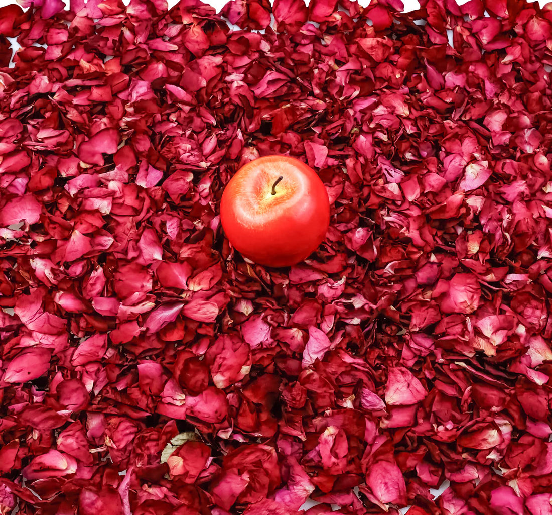 MOTPACK Natural Dried Rose Petals 7oz 200g Real Red Rose Petals for Valentine's Day, Party, Decoration, Spa, Foot Tub, Soap Making, Candle Making, Wedding Decor, DIY Crafts
