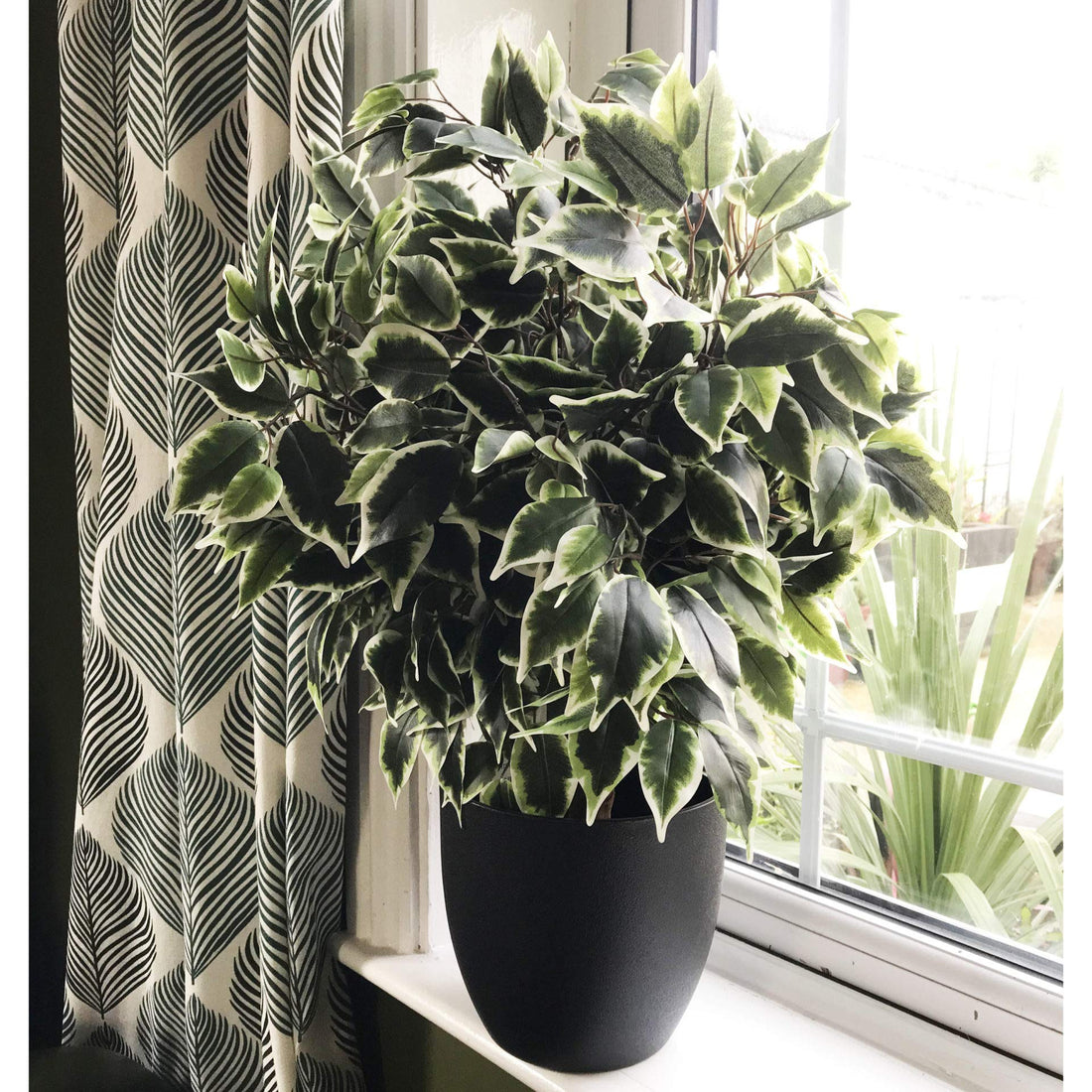 Leaf Artificial Tree/Plant, Ficus Ball Variegated, 60cm